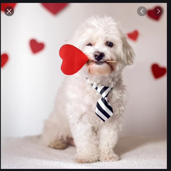 KATE SPADE VALENTINE'S DAY SALE! - Picture 12 of 12